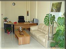 Loxandra Studios Metamorfosi