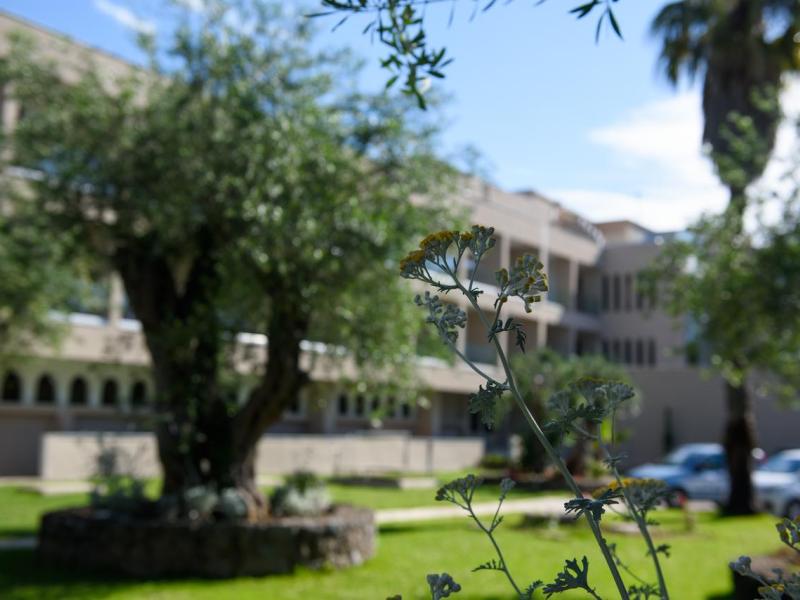 Iolida Corfu Resort & Spa by Smile Hotels