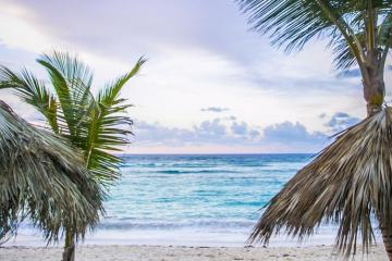 Отель Majestic Colonial Доминикана, Пунта Кана, фото 24