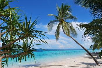 Malapascua Exotic Island Dive & Beach Resort