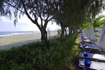Отель Malia Bay Beach Hotel & Bungalows Греция, о. Крит-Ираклион, фото 23
