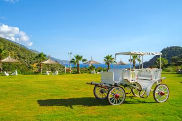 Отель Manas Park Deluxe Oludeniz Турция, Олюдениз, фото 19