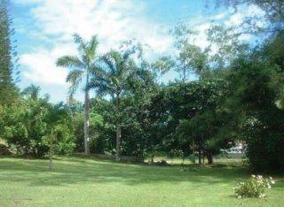 Mandeville