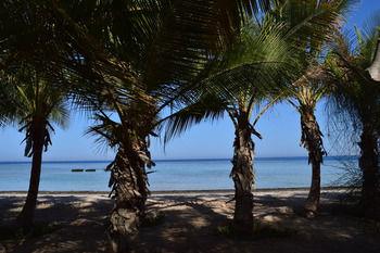 Mangrove Bay Resort