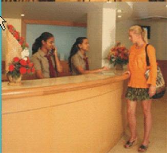 Mapple Viva Goa