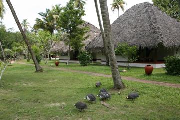 Отель Marari Beach Resort Индия, Керала, фото 2