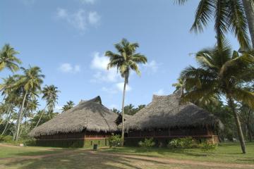 Отель Marari Beach Resort Индия, Керала, фото 10