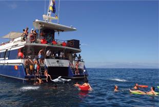 Mare Nostrum Marco Antonio Palace