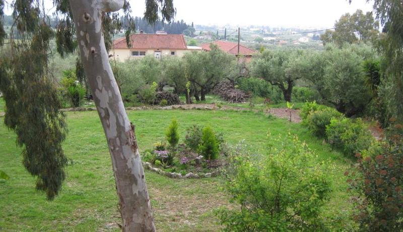 Maria Studios