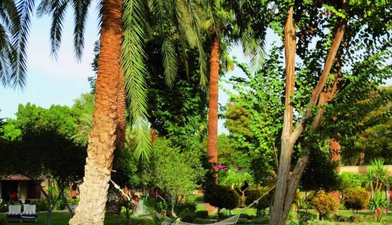 Maritim Jolie Ville Kings Island Luxor