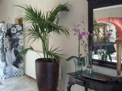 Aparthotel Pinosol