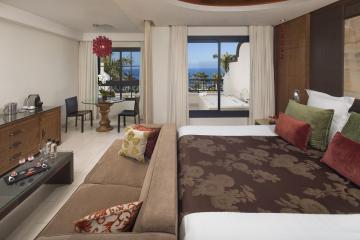 Отель Gran Melia Palacio de Isora Испания, о Тенерифе, фото 31