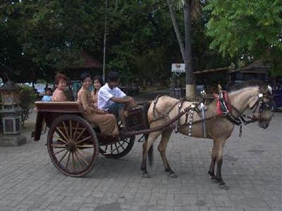 Melka Excelsior Hotel