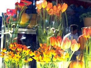 Mercure Hotel Amsterdam West