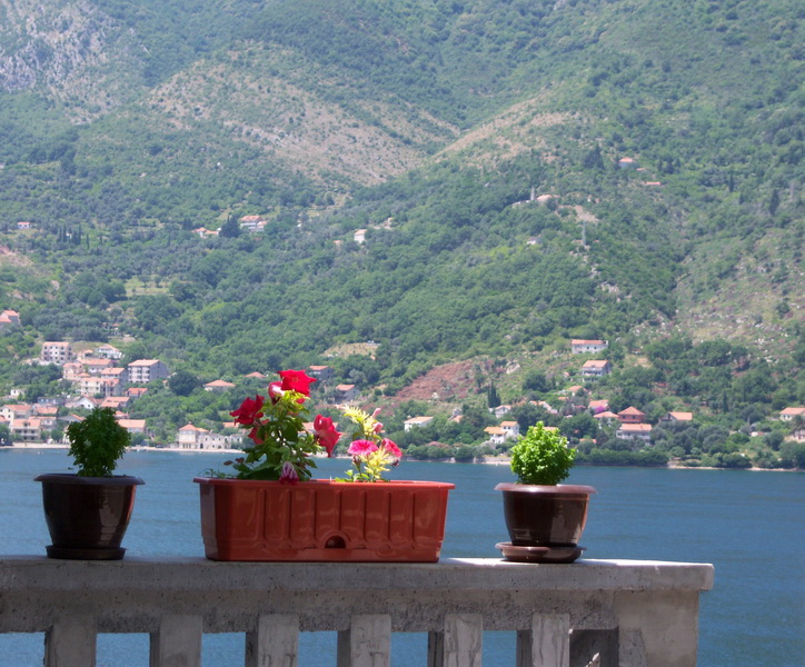 Apartments Villa Antonia