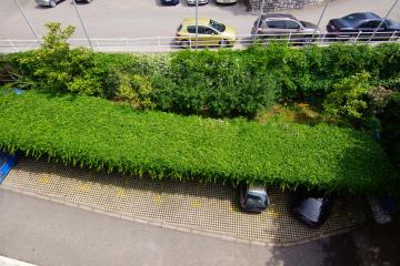 Отель Blue Palace Guest House Черногория, Бечичи, фото 17