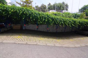 Отель Blue Palace Guest House Черногория, Бечичи, фото 32