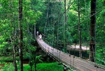 Отель Miri Marriot Resort & SPA Малайзия, о Борнео, фото 20