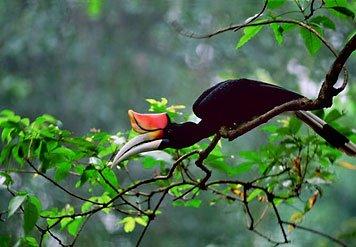 Miri Marriot Resort & SPA