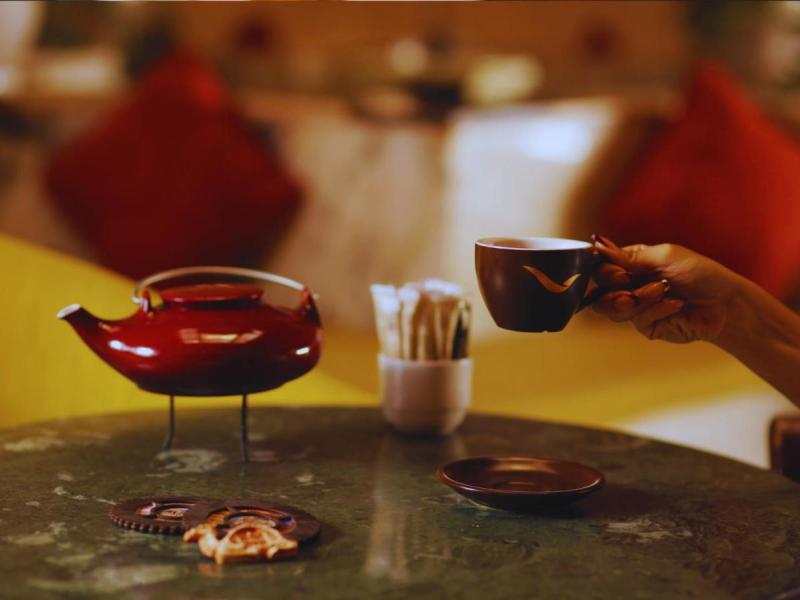 Movenpick Nabatean Castle Hotel