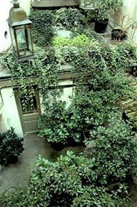 Monte Carlo