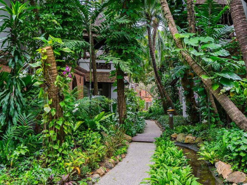 Muang Samui Spa Resort