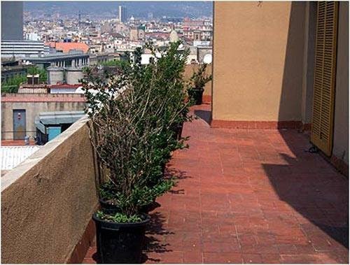 Apartamentos Mur-Mar