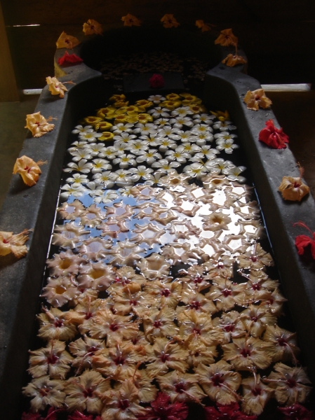 Muthumuni Ayurveda Beach Resort