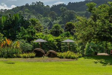 Отель Naithonburi Beach Resort Таиланд, пляж Най Тхон, фото 26