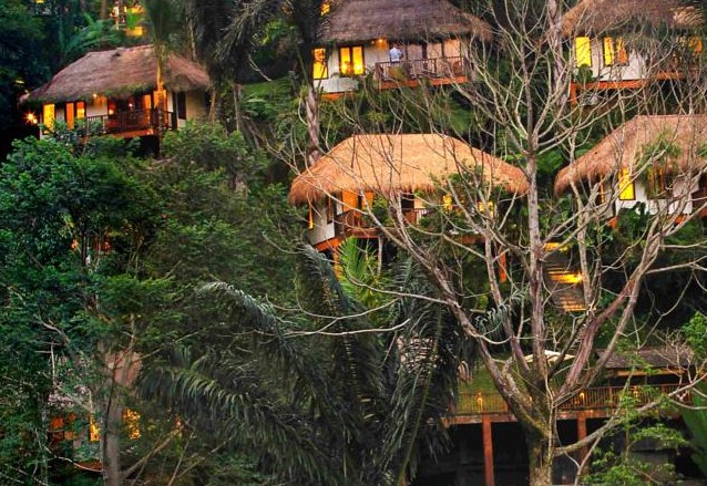 Nandini Jungle By Hanging Gardens