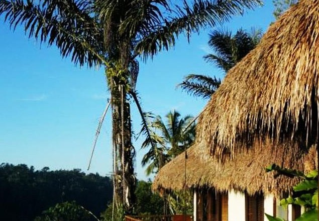 Nandini Jungle By Hanging Gardens