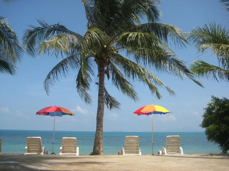 Natural Wing Health Resort & Spa