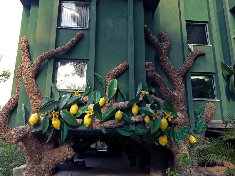 Holiday Area Green Resort