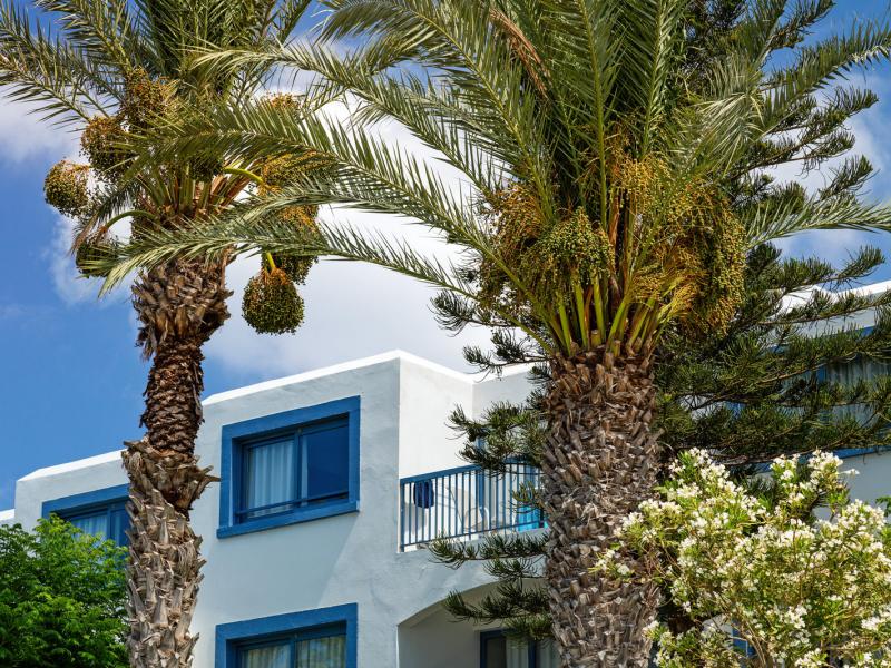 Family Life Nausicaa Beach