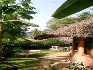 Nikki`s Nest