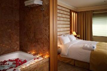 Отель Novotel Ambassador Gangnam Южная Корея, Сеул, фото 16