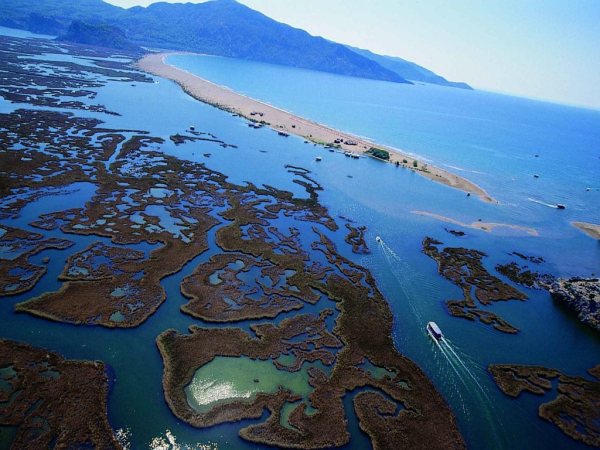 Oasis Hotel & Dalyan