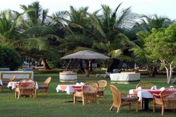 Отель The Oasis Ayurveda Beach Resort Шри-Ланка, Хамбантота, фото 2