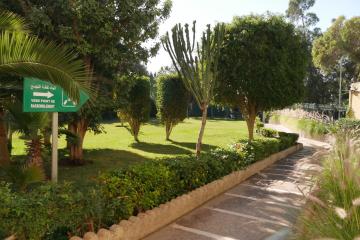 Отель Best Western Odysee Park Hotel Марокко, Агадир, фото 20