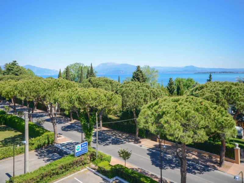 Oliveto