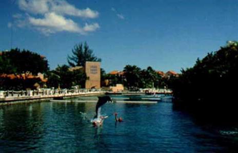 Omni Puerto Aventuras Beach Resort