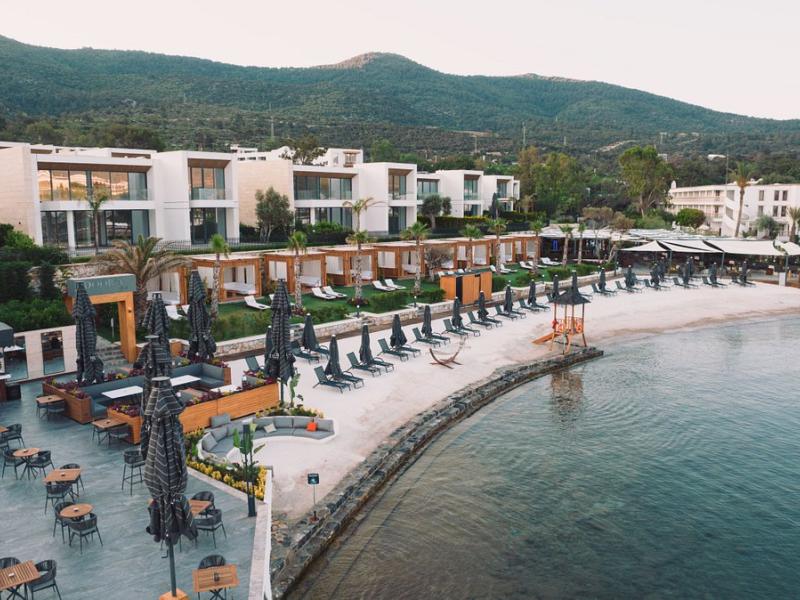 The Norm Collection Doora