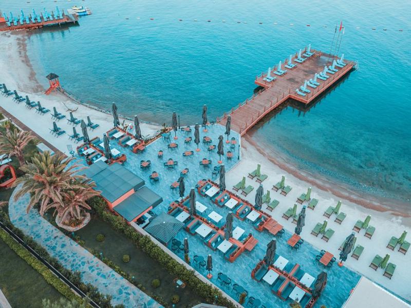 The Norm Collection Doora