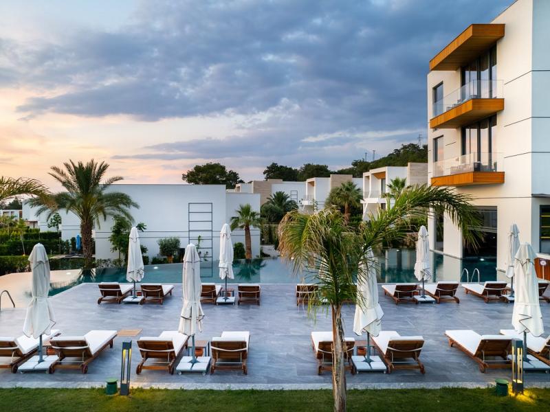 The Norm Collection Doora