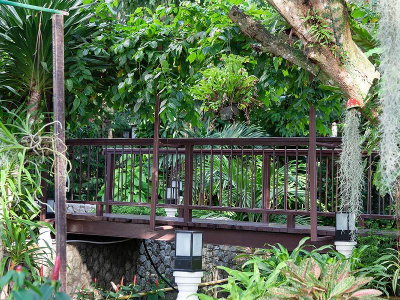 Orchidacea Resort (ex. Pop Cottage)