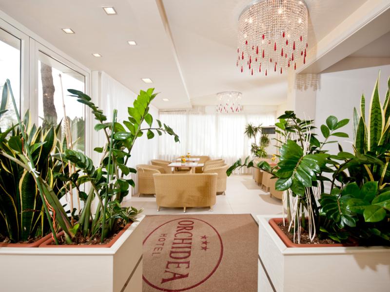 Orchidea (Cervia)