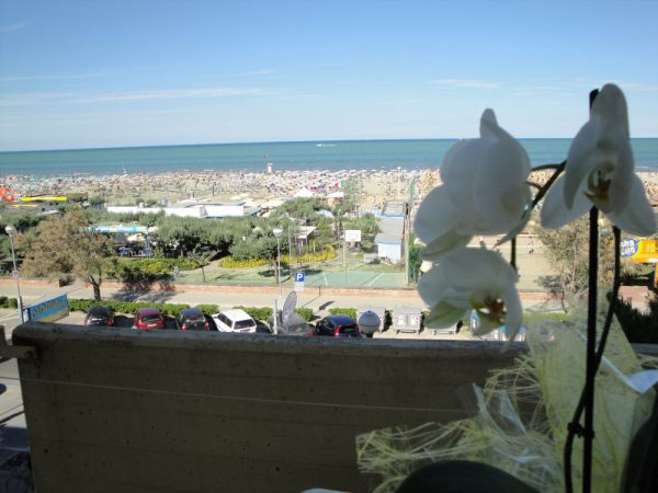 Orchidea (Cervia)