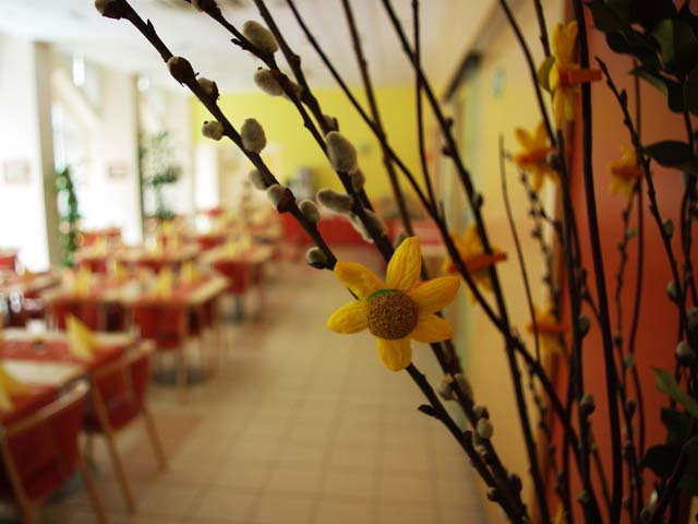 Ibis Styles Maribor City Center