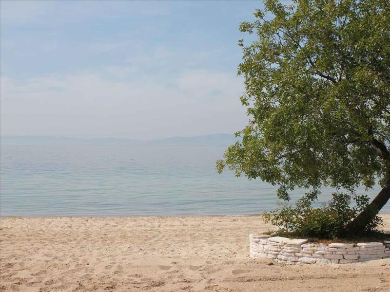Pachis Beach Hotel