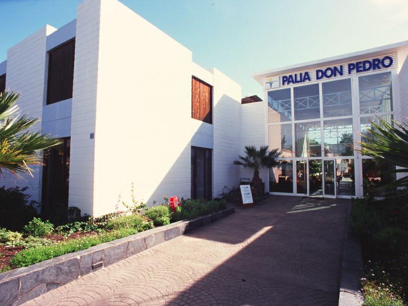 Palia Don Pedro